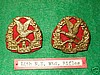 14th New Zealand Mounted Rifles Pair of Collar Badges