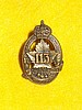 Reserved - 113th INFANTRY BATTALION COLLAR BADGE