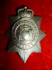 Trinidad & Tobago Regiment Officer's Cap Badge